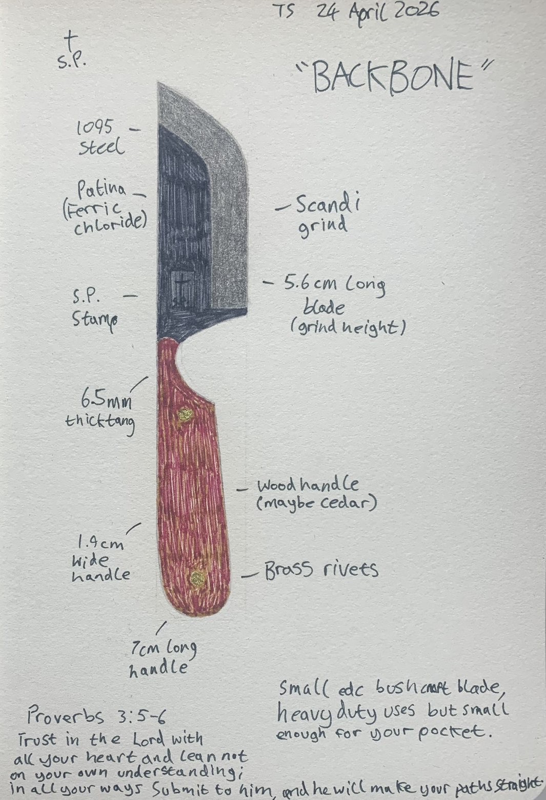 Backbone concept sketch